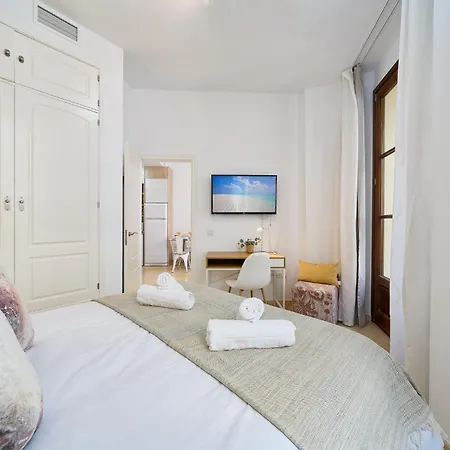 Charming Historic Center Apartment Málaga